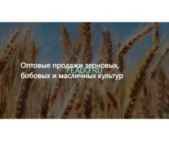 ООО Агропром - оптовая реализация продуктов питания экспорт