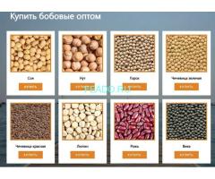 ООО Агропром - оптовая реализация продуктов питания экспорт